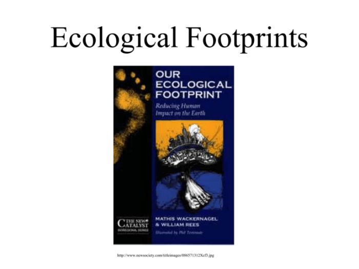 Footprint implementing ecological