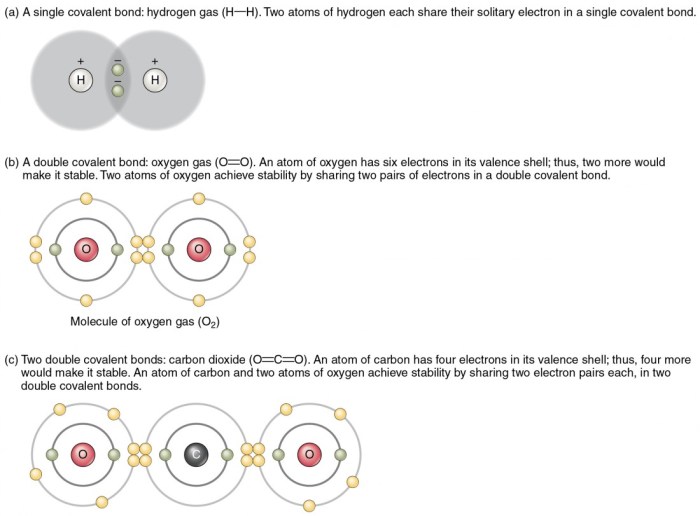 Bonds sigma molecule