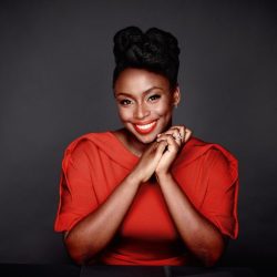 Apollo by chimamanda adichie summary