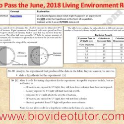 June 2018 living environment regents