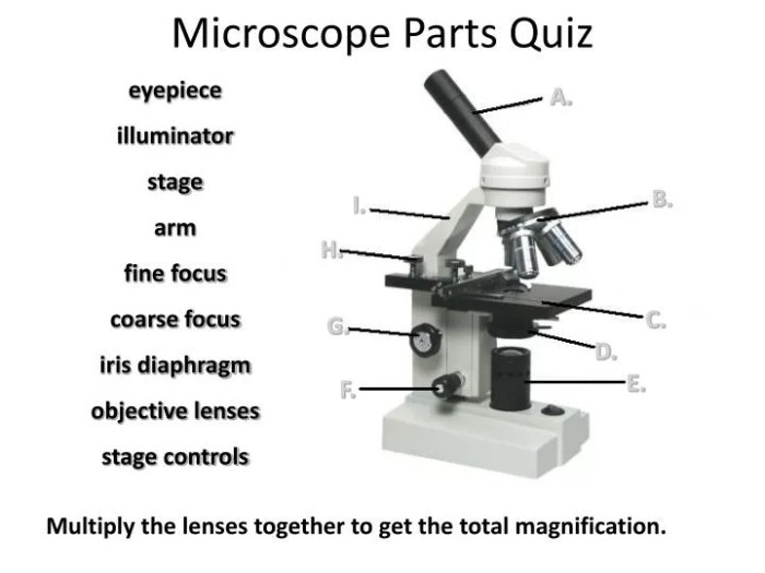 Microscope shelly