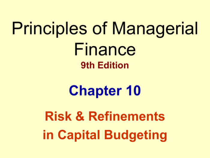 Principles of managerial finance brief 8th edition