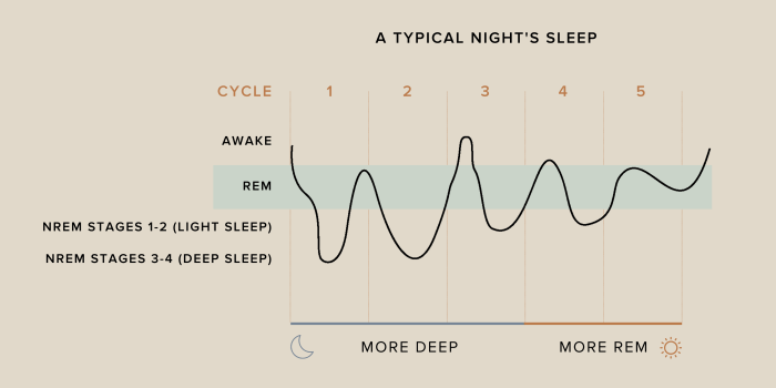 Which of the following statements is true of rem sleep