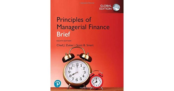 Principles of managerial finance brief 8th edition