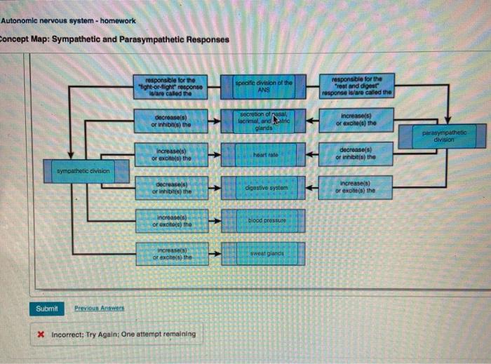 Comparison of somatic and autonomic nervous systems concept map