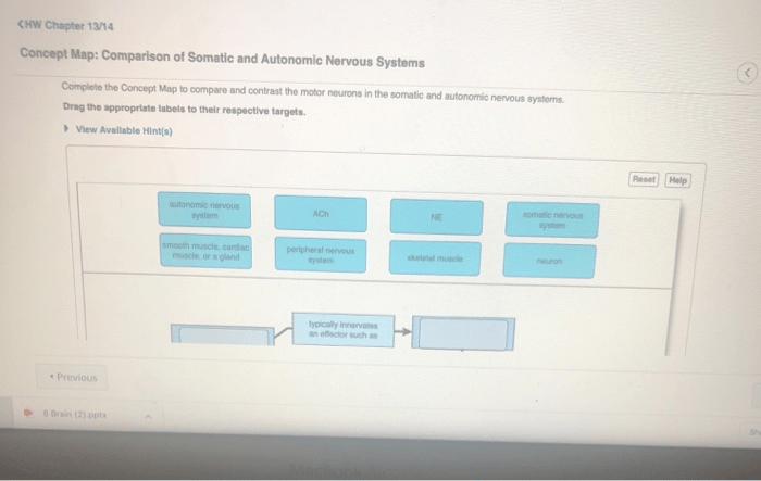 Somatic autonomic concept map comparison nervous systems complete solved contrast compare transcribed problem text been show has