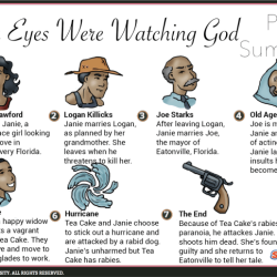 Their eyes were watching god chapter 12 summary