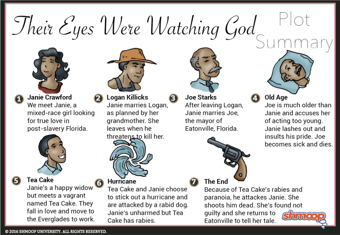 Their eyes were watching god chapter 12 summary