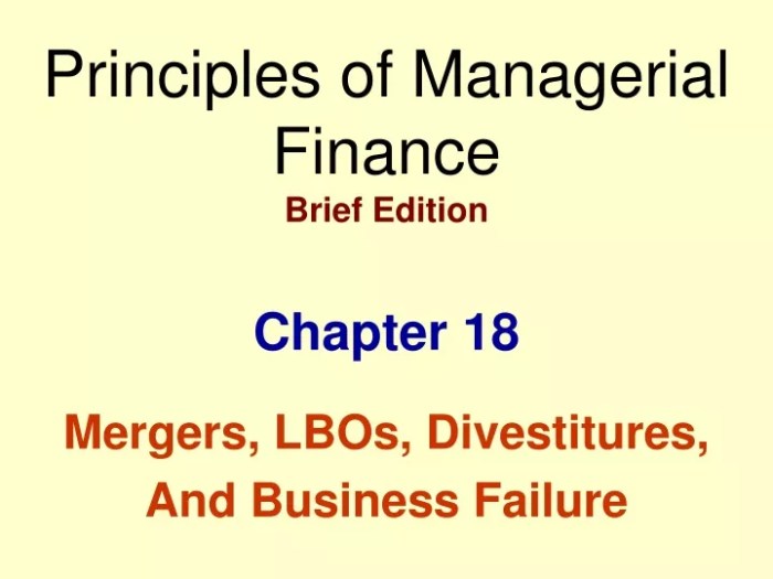 Principles of managerial finance brief 8th edition